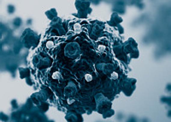 Covid-19 virus