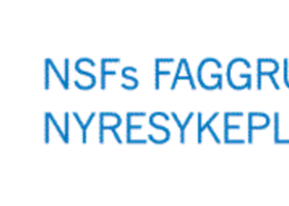 nsffns logo