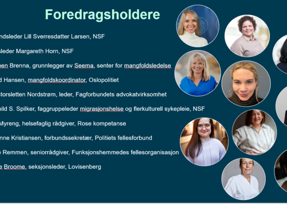 Foredragsholdere, webinar