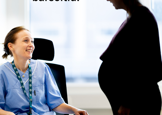 Jordmordagen 2025 - story - 3