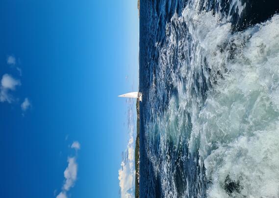 Ferie!