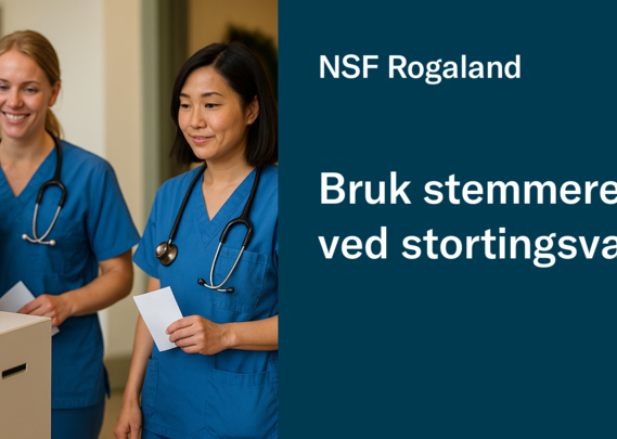 Bilde til artikkel om stortingsvalg