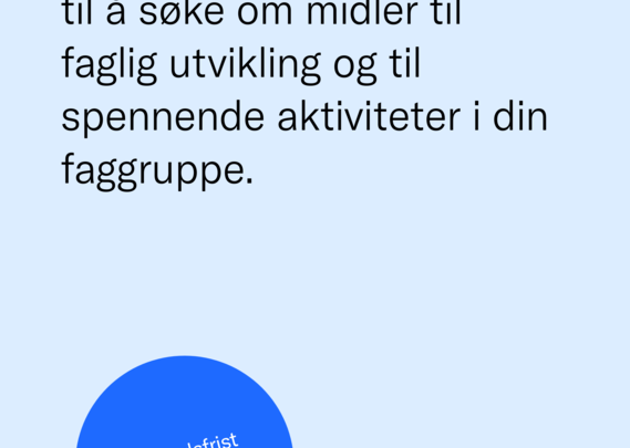 Fagutviklingsmidler