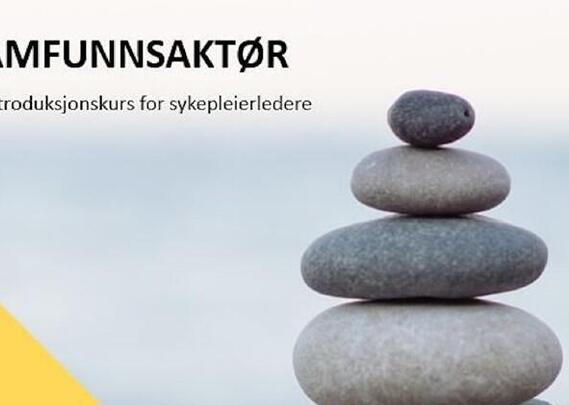 samfunnsaktør 