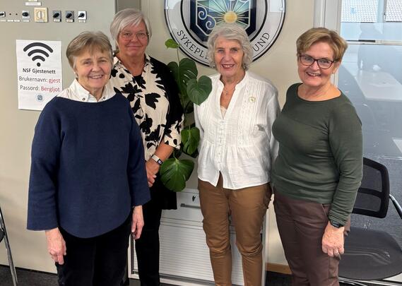 Seniorsykepleierne - styret