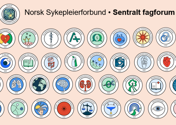 bilde av faggruppelogoene