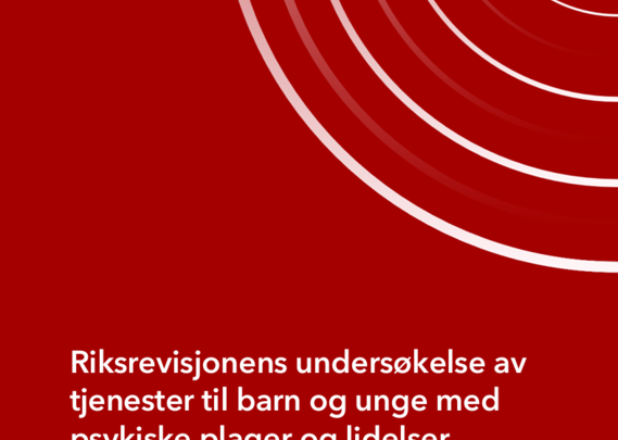 Riksrevisjonen