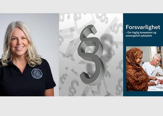 Faglig forsvarlighet