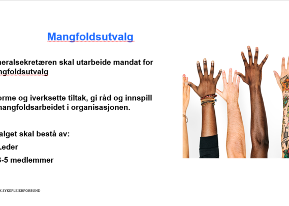 Kopi av slide om Norsk sykepleierforbunds mangfoldsutvalg