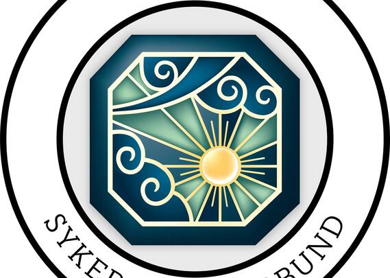 NSF logo