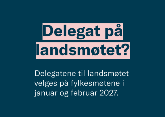 landsmøte