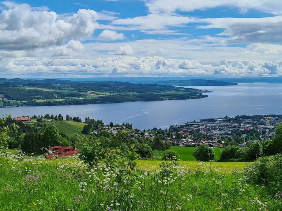 Gjøvik