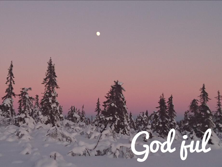 vintermotiv Vangsåsen