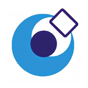 NSFs faggruppe for E-helse - logo