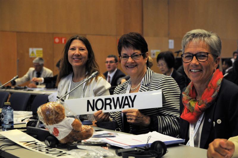 Karen Bjøro (nestleder i ICN) i midten