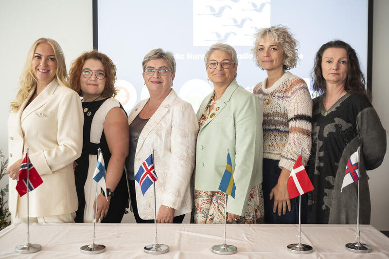 Sykepleiernes Samarbeid i Norden