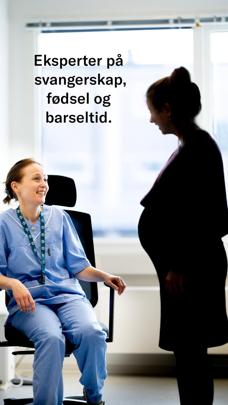 Jordmordagen 2025 - story - 3