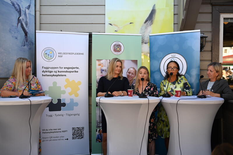 Paneldeltakere