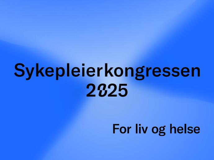 SK25 - visuelt
