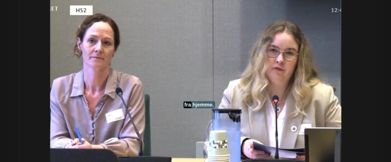Henriette Karlsen Brenna på høring i Utdanning- og forskningskomiteen