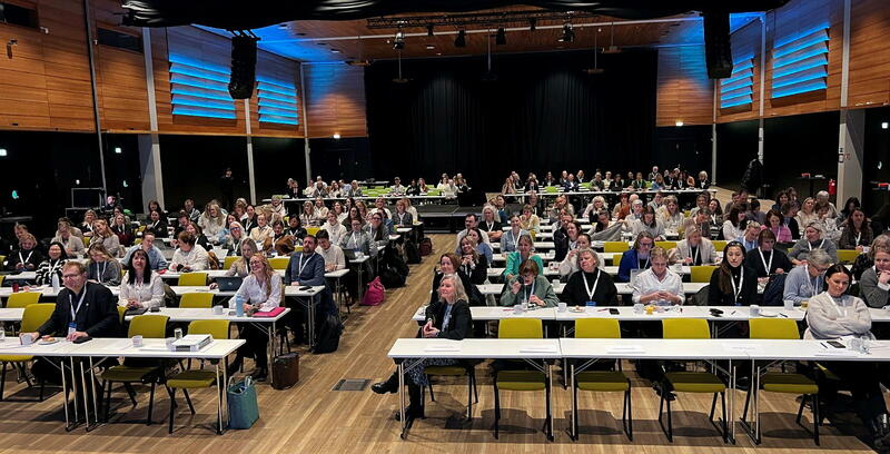 Foredragholdere og deltakere på e-helsekonferansen 2025