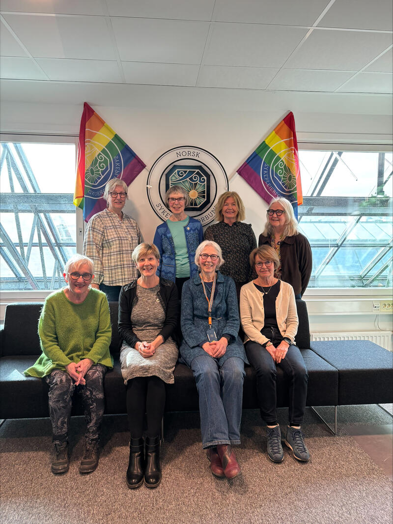 Styret NSF Seniorsykepleiere Trøndelag 2026-2027