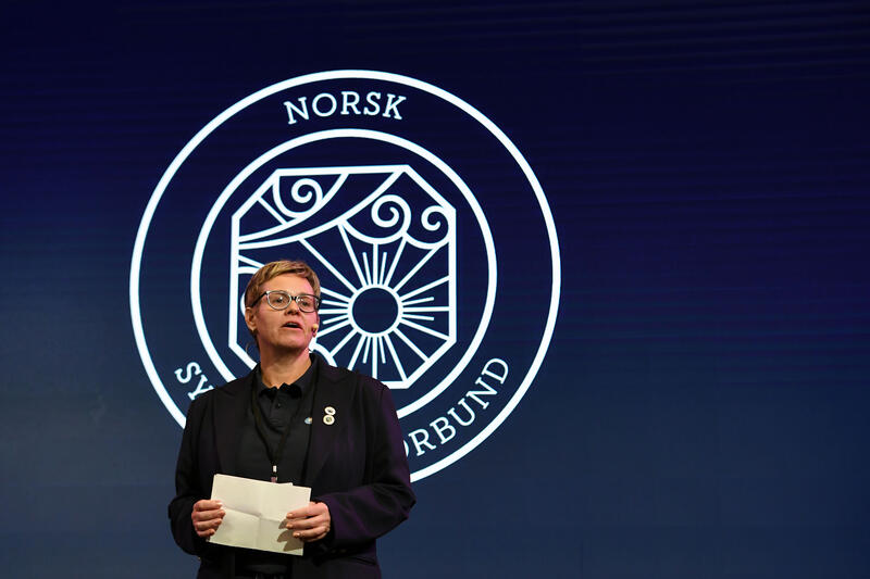 Anita Lønnebakken Sævild, Leder av e-helse NSF