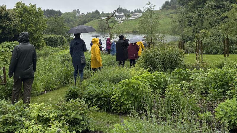 Vandring i hagen