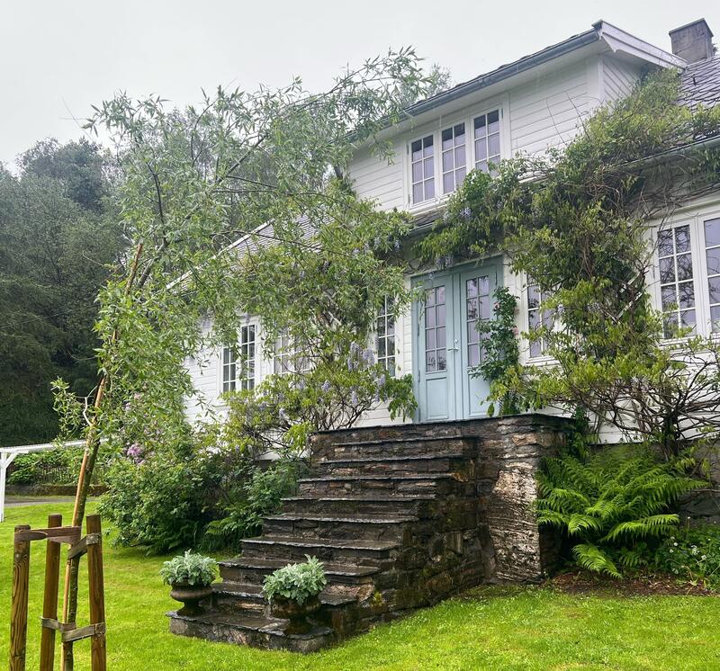 Rosengard