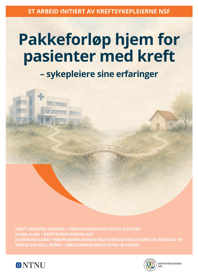Forside rapport