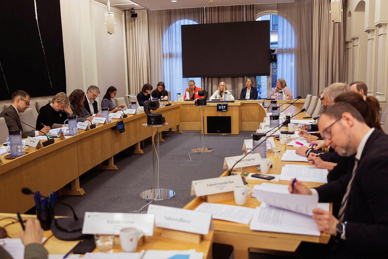 Oslo 20260928 – Høring Helsepersonellplan2040. Lill Sverresdatter Larsen