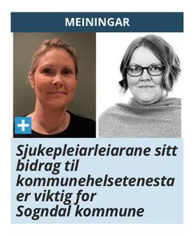 Sogn avis faksimile